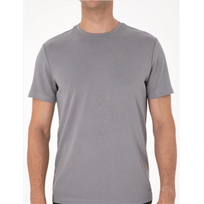 Gri Regular Fit Tişört