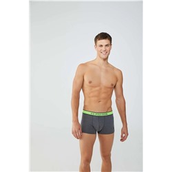 U.S. Polo Assn. Erkek Baskılı-gri 2'li Boxer