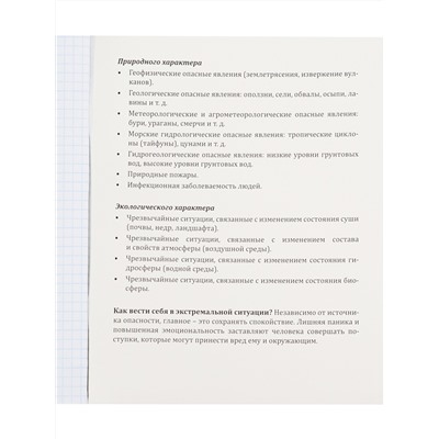 Тетрадь КЛЕТКА 48л. ОБиЗР «МАНГА» (Т48-1495) стандарт, твин-лак