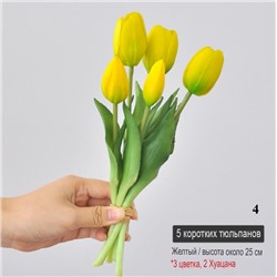 Маленький букет из тюльпанов ( 5 шт * 25 см)