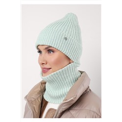 Комплект (Шапка+Снуд) CLEVER, 1068676