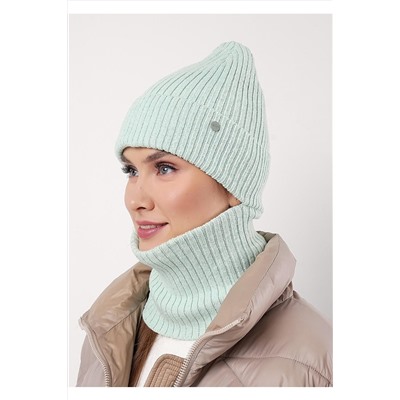 Комплект (Шапка+Снуд) CLEVER, 1068676
