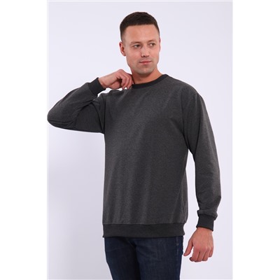 Лонгслив мужской футер двухнитка, Арт. 810