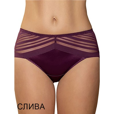 Трусы 321 Siluet Albina_L ЧЗ слип Albina L