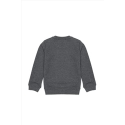 Erkek Çocuk Antrasit Melanj Basic Bisiklet Yaka Sweatshirt