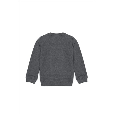 Erkek Çocuk Antrasit Melanj Basic Bisiklet Yaka Sweatshirt