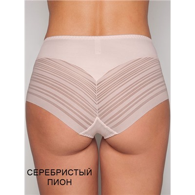 Трусы 255 Siluet Albina_L ЧЗ слип Albina L