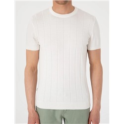 Ekru Slim Fit %100 Pamuk Bisiklet Yaka Triko Tişört