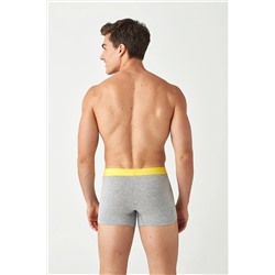 U.S. Polo Assn. U.S. Polo Assn. Erkek Gri Melanj - Siyah 2 Li Boxer