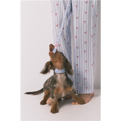 Collar perro azul colgante cerezas