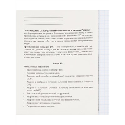 Тетрадь КЛЕТКА 48л. ОБиЗР «МАНГА» (Т48-1495) стандарт, твин-лак