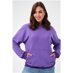 52717 Толстовка женская без начеса