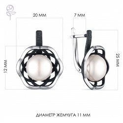 Серьги серебро 52851S1B