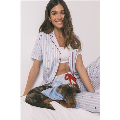 Bandana perro azul cerezas