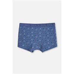 Dagi Mavi 2'li Desenli Micro Modal Boxer