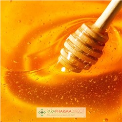 Nuxe Rêve de Miel Stick Lèvres Hydratant 2x4gLot  × 2