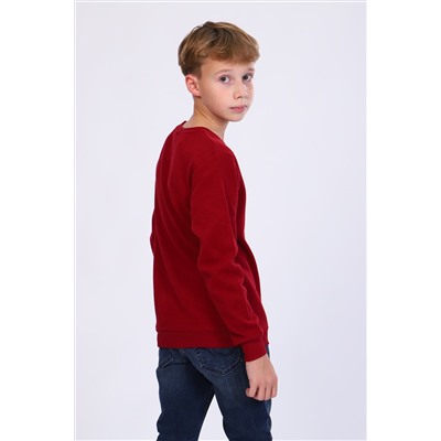 Джемпер 17589 детский НАТАЛИ #815053