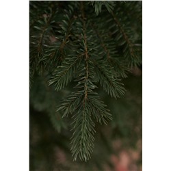 Ель искусственная Аркадия 2,25 м