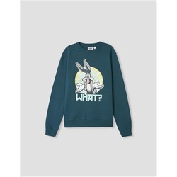 Looney Tunes' Sweatshirt, Men, Blue