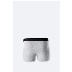 Avva Erkek Gri Pamuklu Esnek Tekli Düz Boxer B009510