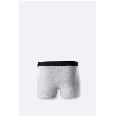 Avva Erkek Gri Pamuklu Esnek Tekli Düz Boxer B009510