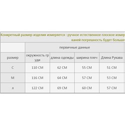 Свитшот Champio*n