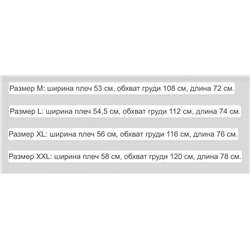 Футболка с принтом «Пегас»  НАЙ*К