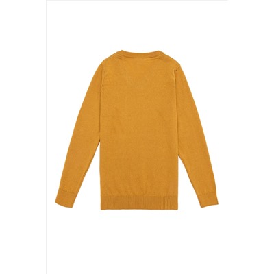 Erkek Çocuk Hardal Bisiklet Yaka Triko Kazak