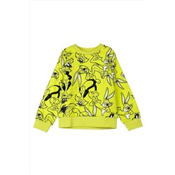 Свитшот PLAYTODAY, 973808