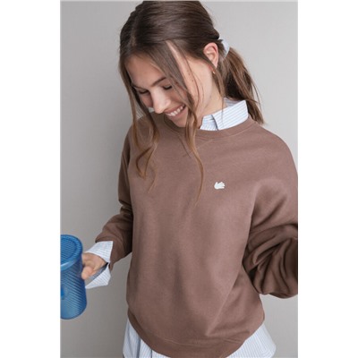Sudadera felpa lisa marrón