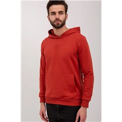 Худи мужское футер петля, Арт. 1037