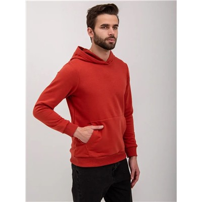 Худи мужское футер петля, Арт. 1037