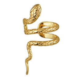 Каффа Змея левая (покрытие золото), Есть комплект