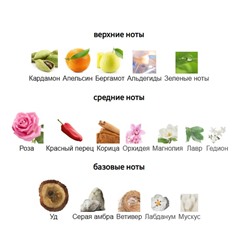 ORMONDE JAYNE NAWAB OF OUDH edp 8ml mini