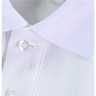 Мужская хлопковая футболка-поло РАЛЬ*Ф Л