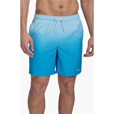 Graphite Stripe Core Volley Swim Trunks Calvin Klein