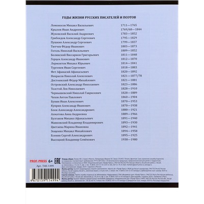 Тетрадь ЛИНИЯ 48л. ЛИТЕРАТУРА «МАНГА» (Т48-1499) стандарт, твин-лак