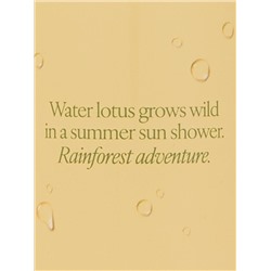 BODY FRAGRANCE Lush Starfruit Lotus Fragrance Mist