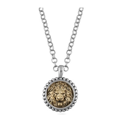 Кулон огненный лев (диаметр 3см; античное серебро, античное золото) 55-60см, Есть комплект
