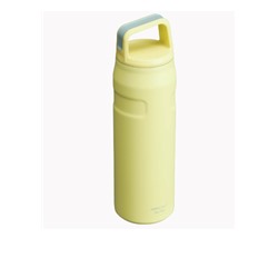 IceFlow™ Bottle with Cap and Carry+ Lid | 24 OZ