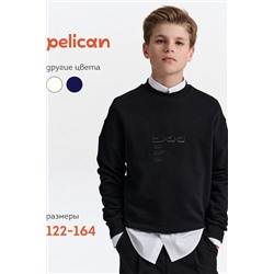 Свитшот PELICAN, 1188931