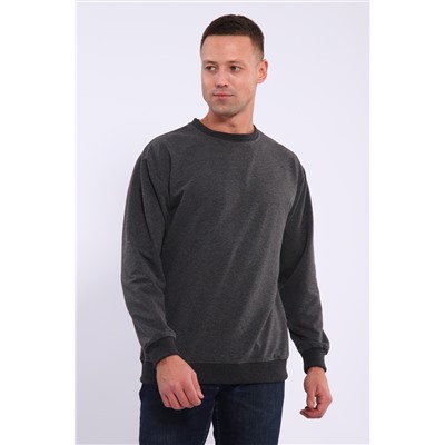 Лонгслив мужской футер двухнитка, Арт. 810