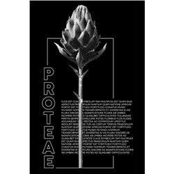 Футболка OXOUNO, 1020320