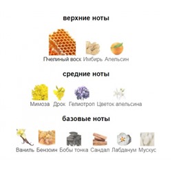 ZOOLOGIST BEE 60ml parfume + стоимость флакона