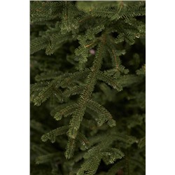 Ель искусственная литая Арко 1,8 м