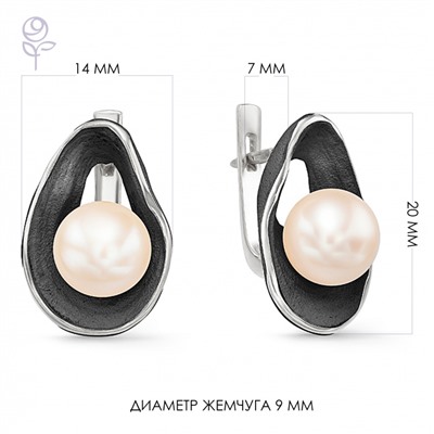 Серьги серебро 52250S1B