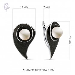 Серьги серебро 52827S1B