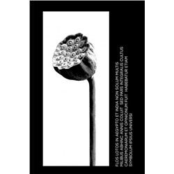 Футболка OXOUNO, 1020322