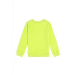 Erkek Çocuk Elma Yeşili Basic Bisiklet Yaka Sweatshirt