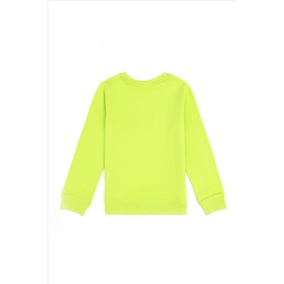Erkek Çocuk Elma Yeşili Basic Bisiklet Yaka Sweatshirt